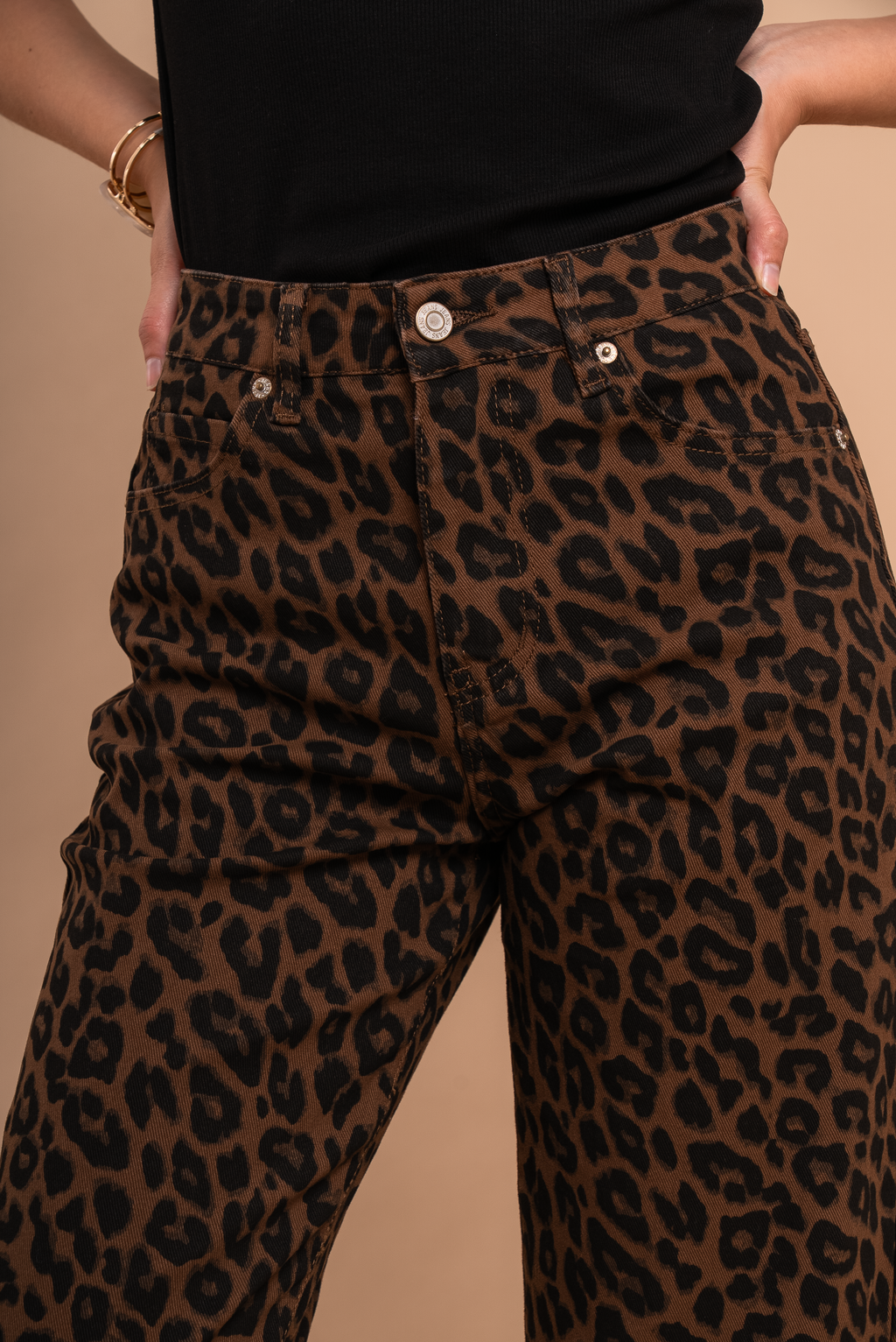 Sally High Rise Leopard Print Jeans