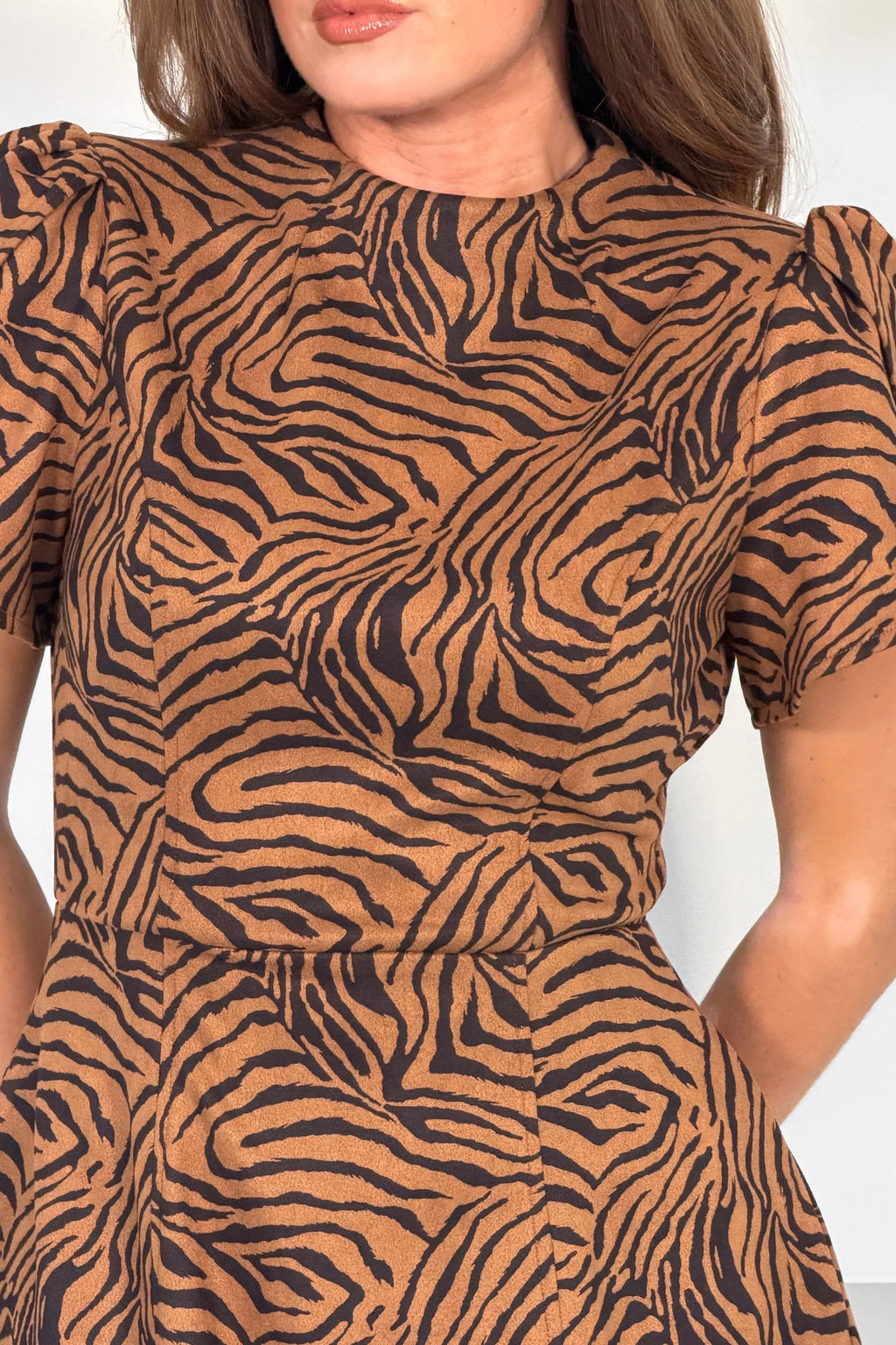Girl In Mind Ami Brown Zebra Print Mini Dress