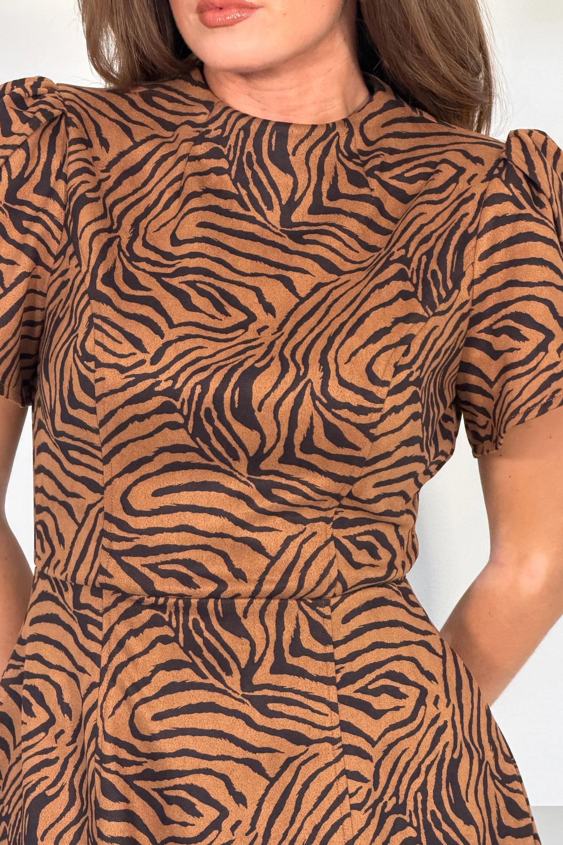 Girl In Mind Ami Brown Zebra Print Mini Dress