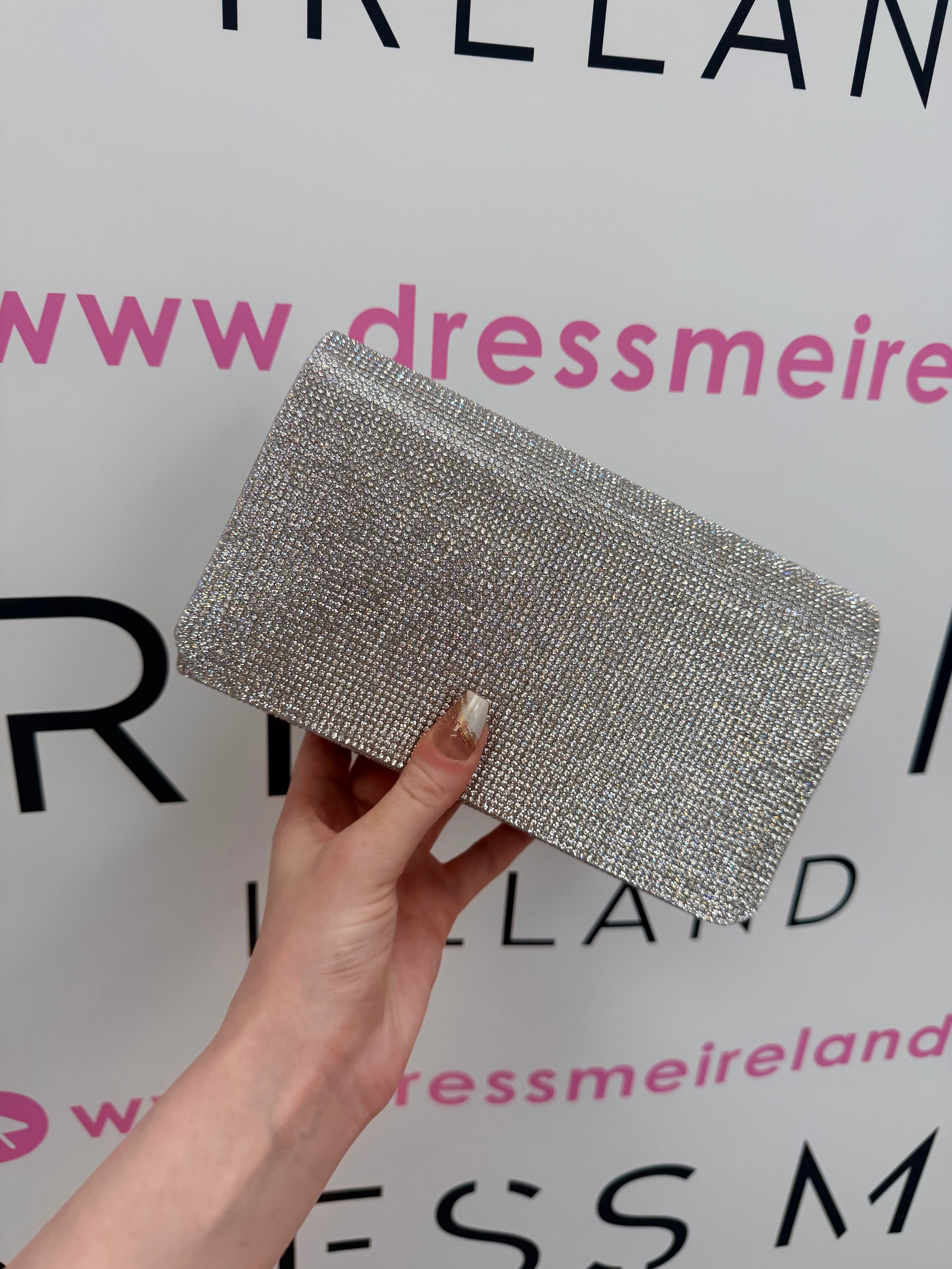 TORI CLUTCH BAG IN SILVER